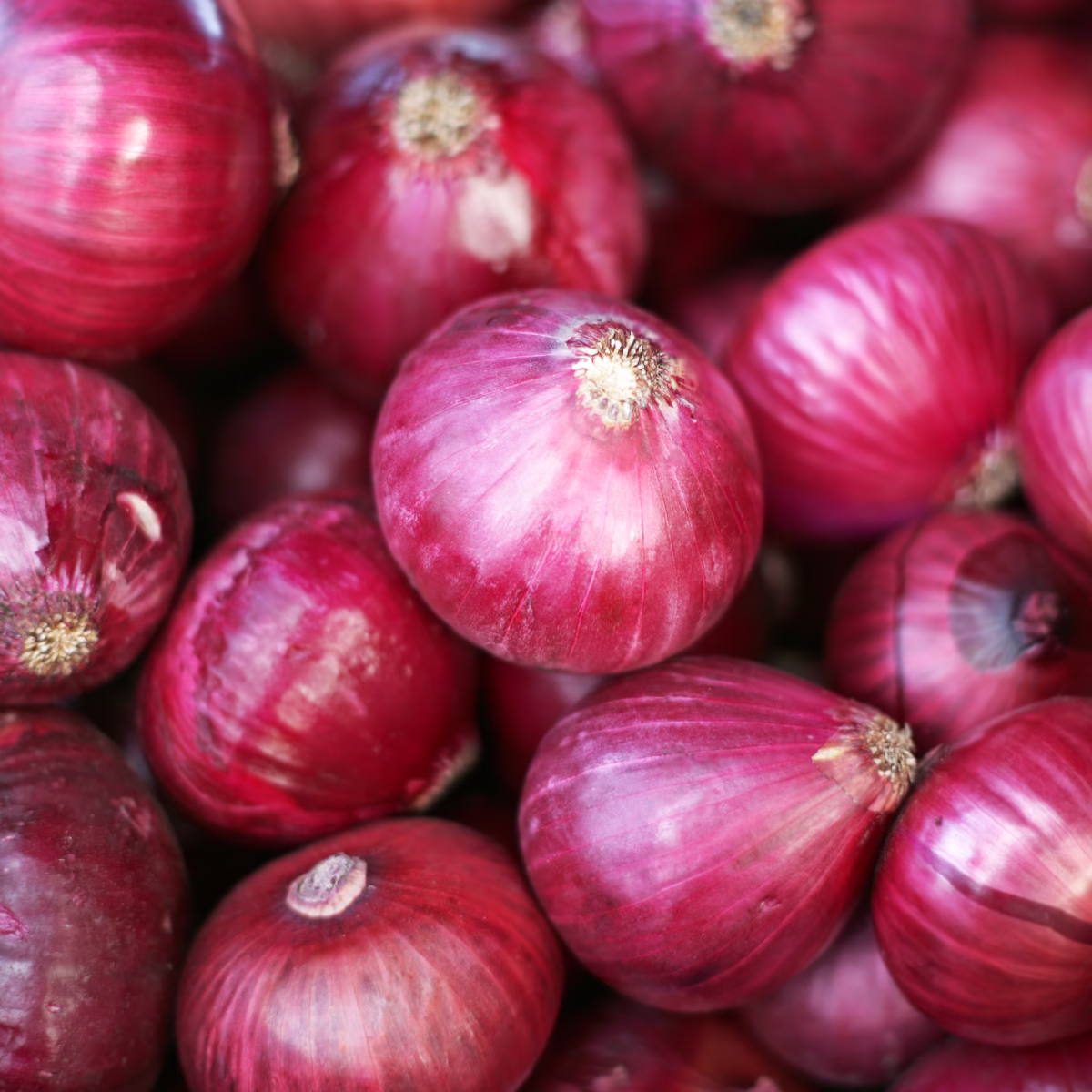 Red Onions - The Pantry by Kismet Cabana