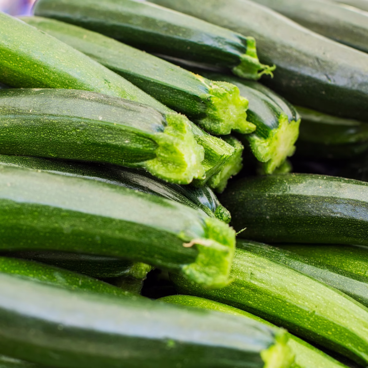 Courgettes - The Pantry by Kismet Cabana