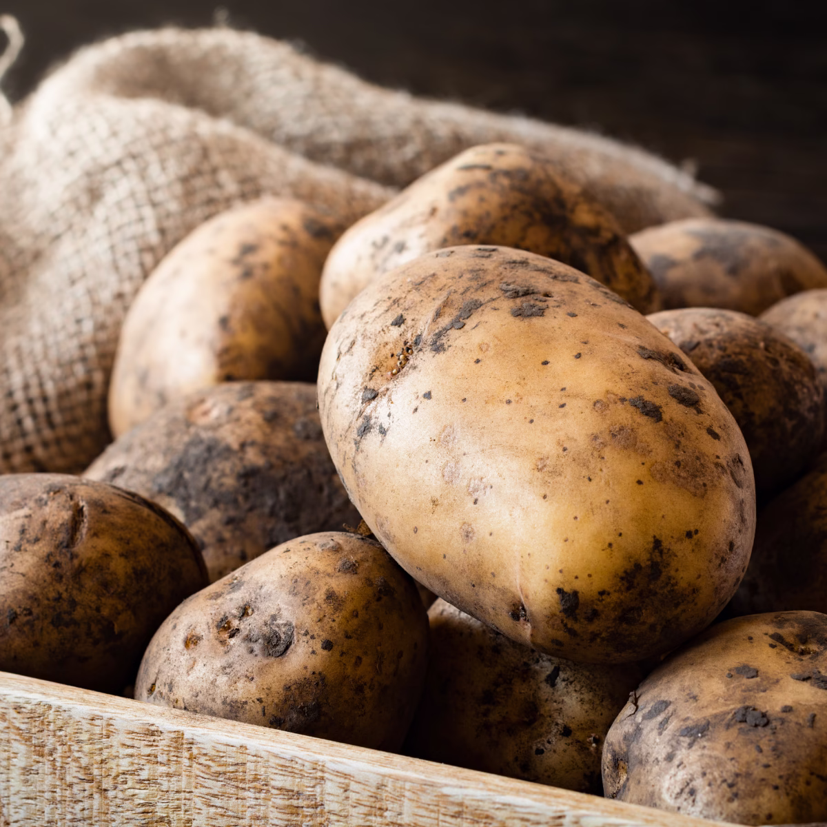 White Potatoes - The Pantry by Kismet Cabana