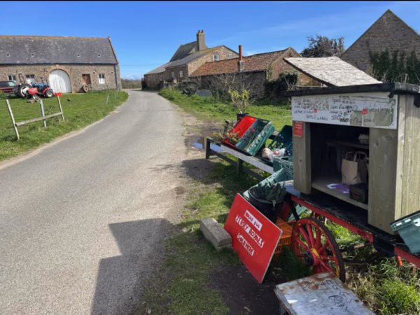 Noirmont Farm Backdrop