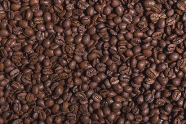 Rock Roaster Bean