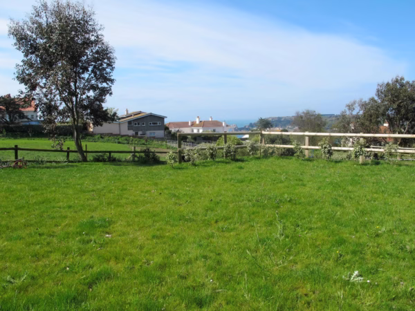brooklands Farm