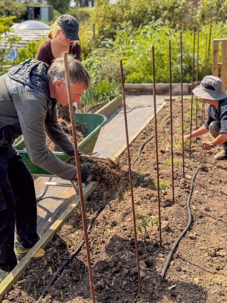 Three people gardening with soil and plants.