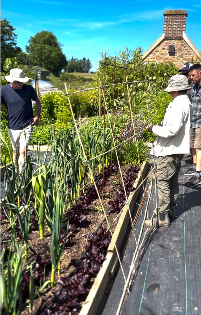 Gardeners installing trellis in vegetable garden.
