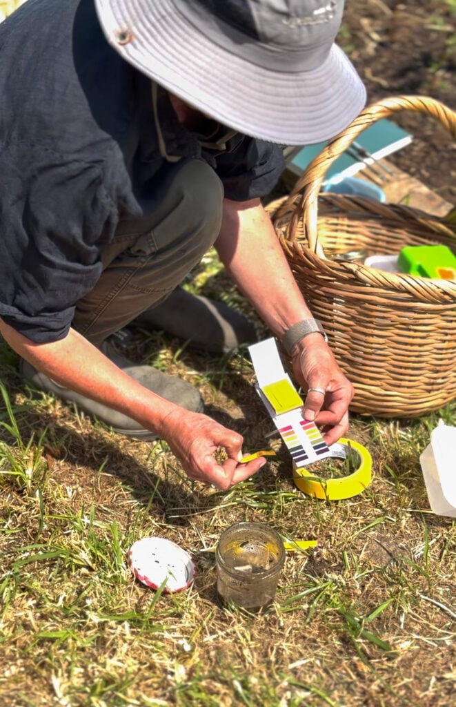 Person testing soil with pH kit in garden.