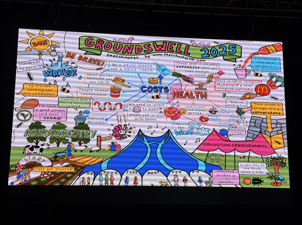 Groundswell 2025 illustrated agriculture and health sketchnotes