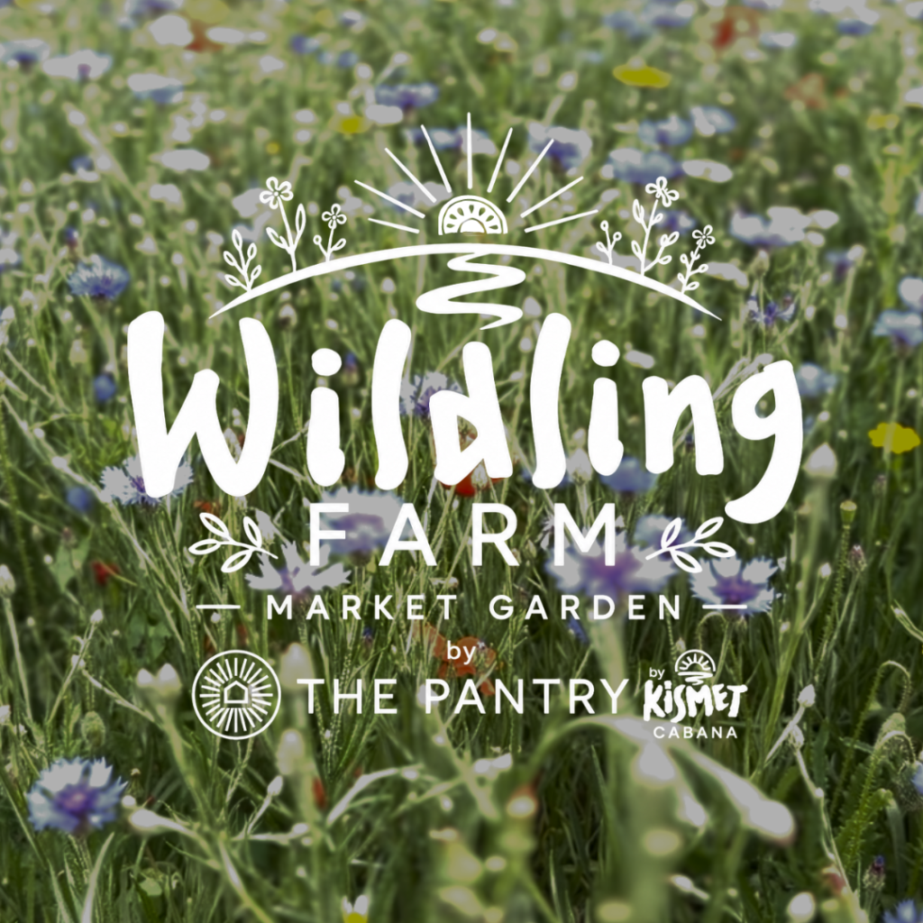 Wildflower field with Wildling Farm Market Garden logo